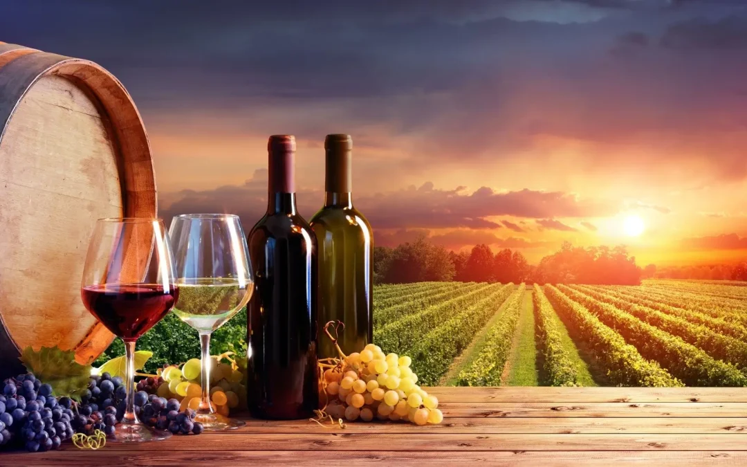 Wine Tour