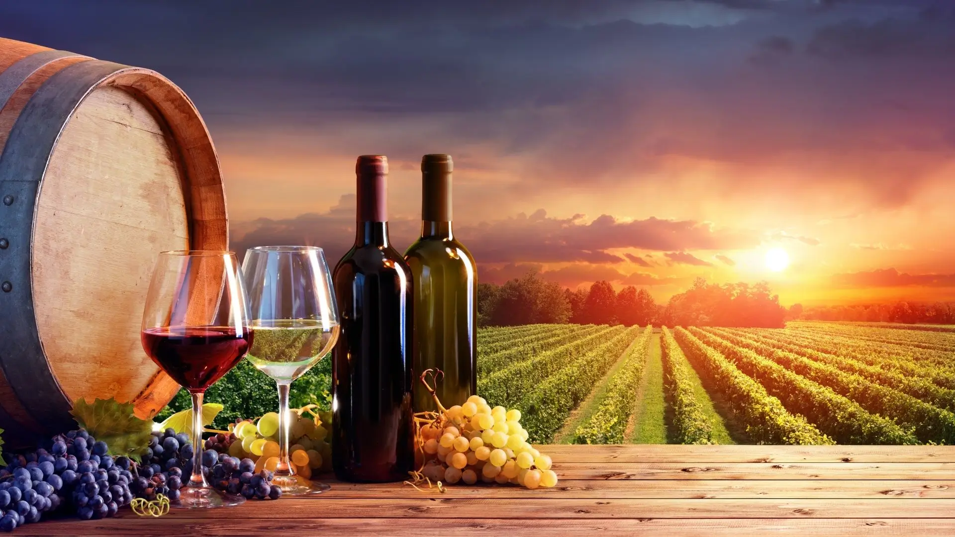 wine tour