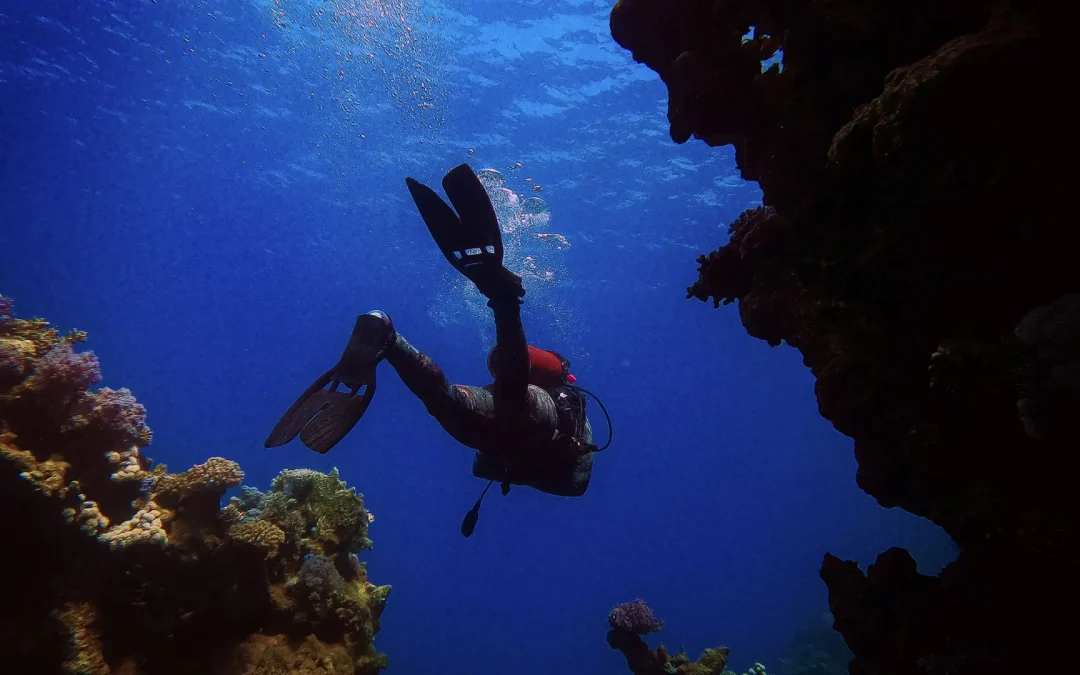 Scuba Diving