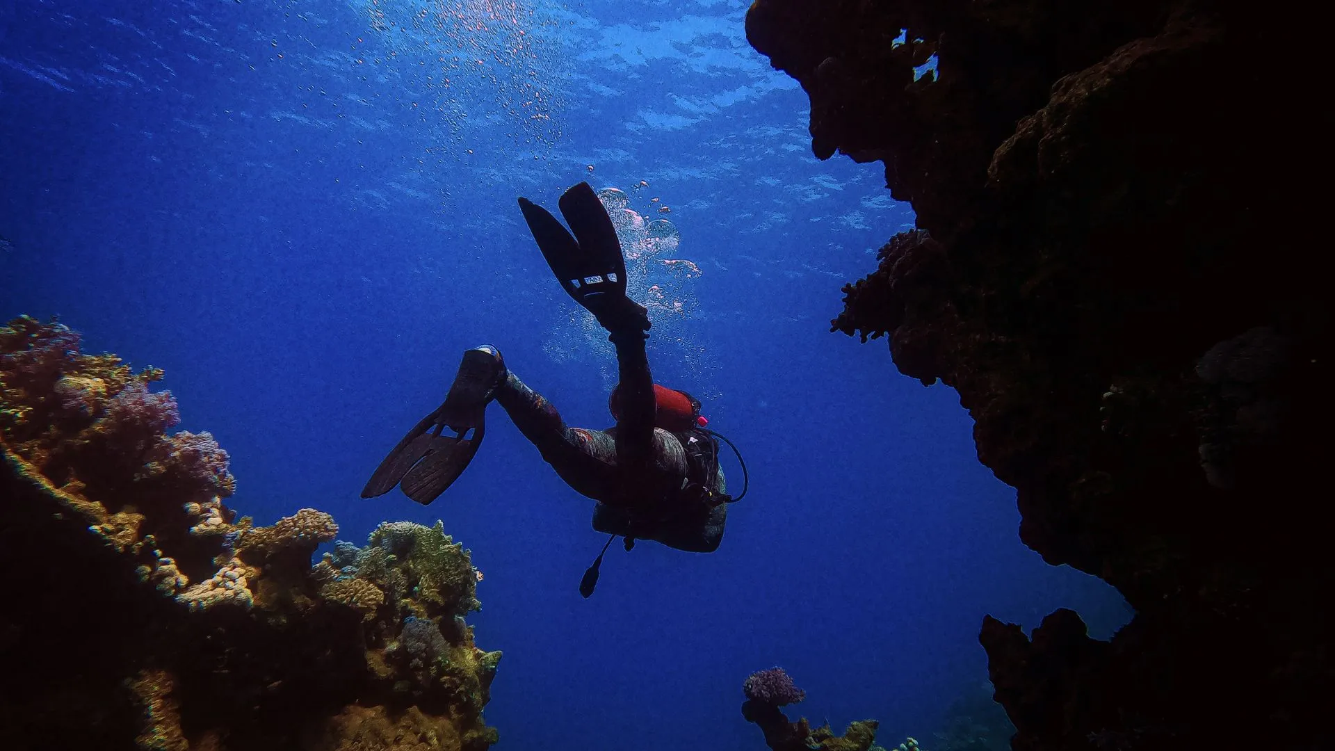 Scuba diving