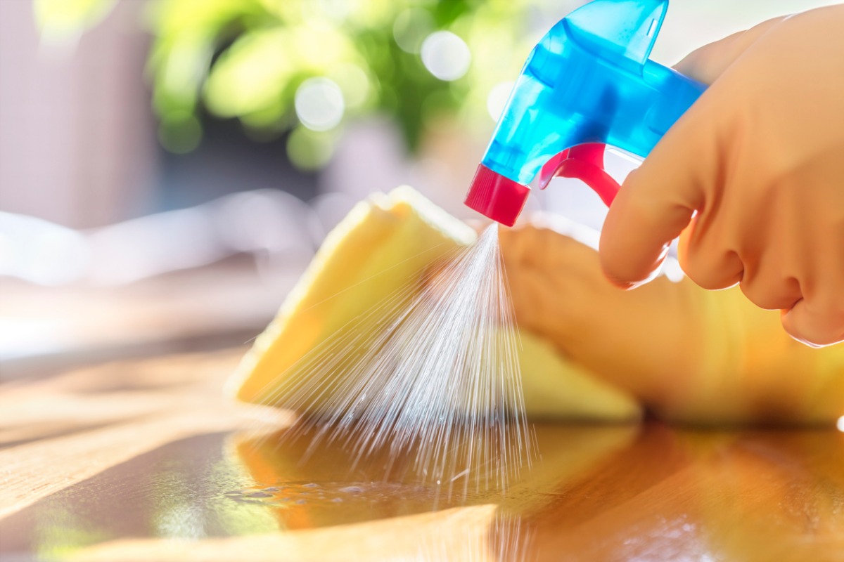 house cleaning services1